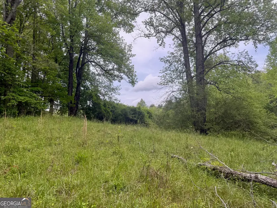 LOT 9 Peach Orchard Way, Tiger, GA 30576 - #3