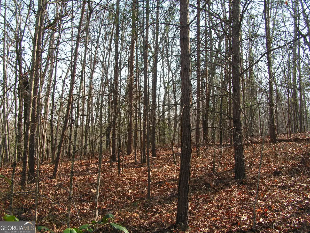 0 Mount Pleasant Church Road, Cleveland, GA 30528 - #1