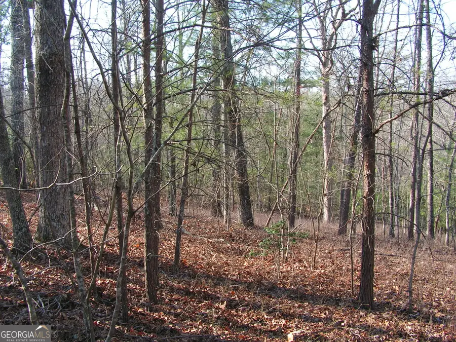 0 Mount Pleasant Church Road, Cleveland, GA 30528 - #2
