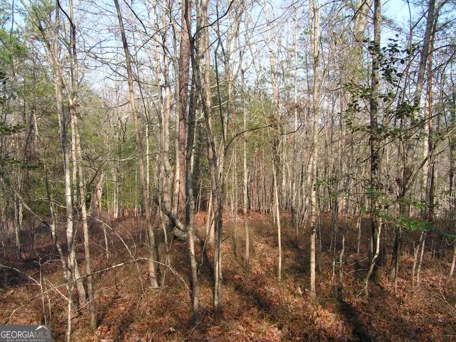 0 Mount Pleasant Church Road, Cleveland, GA 30528 - #3