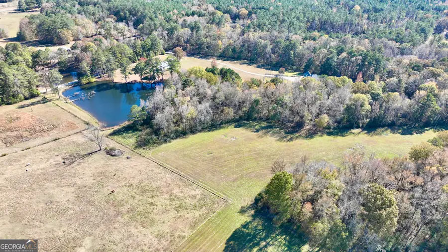 LOT 8 Mask Road - Hanner's Farm South, Brooks, GA 30205 - #2