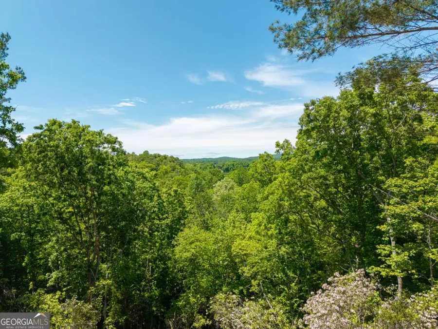 LOT 7 Briar Creek Court, Morganton, GA 30560 - #2