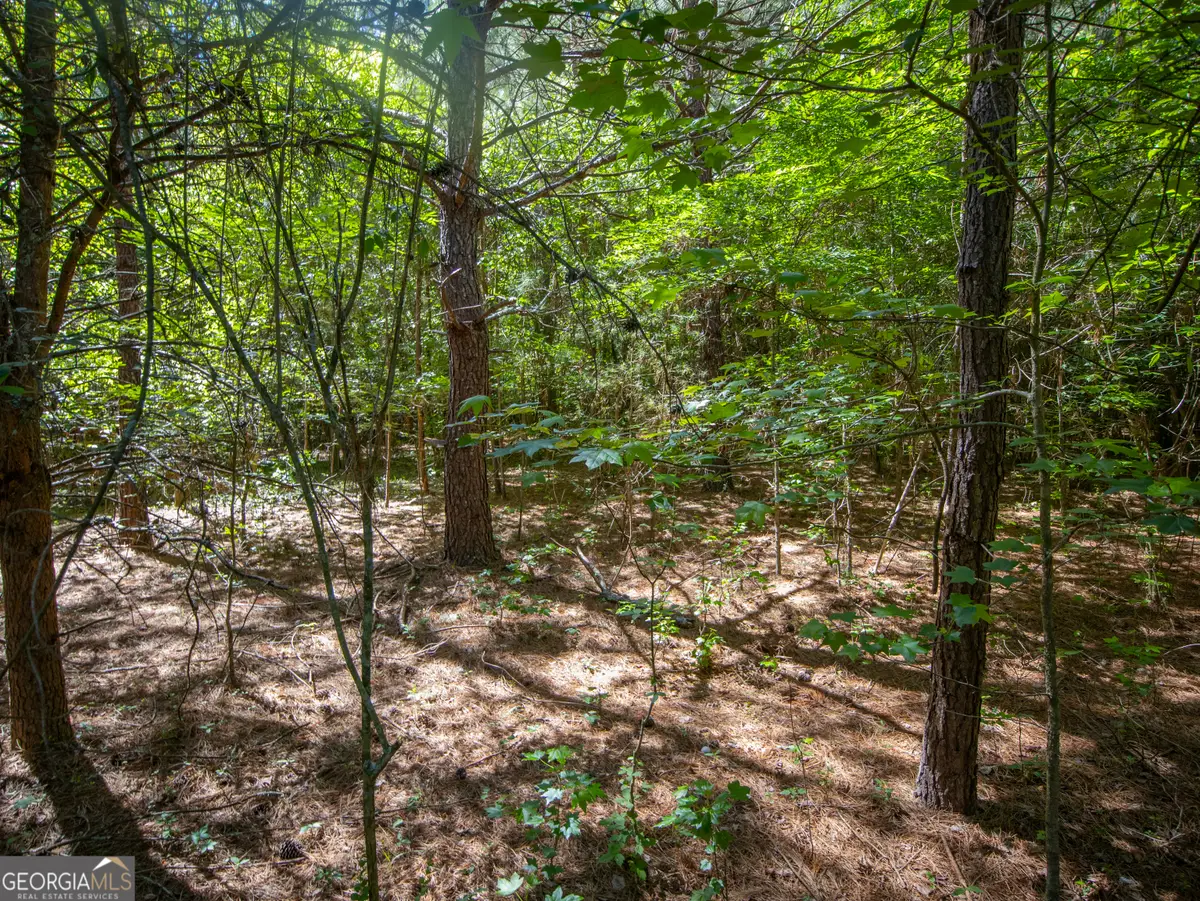 10.5 ACRES Bronco Road, Lafayette, GA 30728 - #1