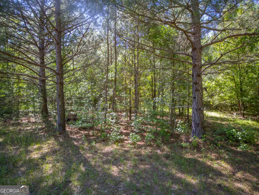 10.5 ACRES Bronco Road, Lafayette, GA 30728 - #2