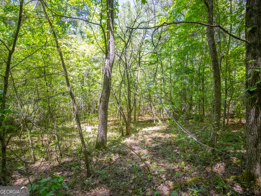 10.5 ACRES Bronco Road, Lafayette, GA 30728 - #3