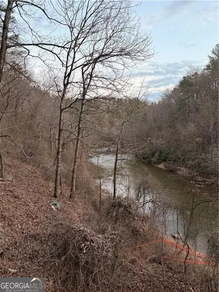 0 Shady Grove Church Road, Talking Rock, GA 30175 - #1