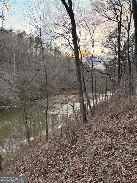 0 Shady Grove Church Road, Talking Rock, GA 30175 - #2