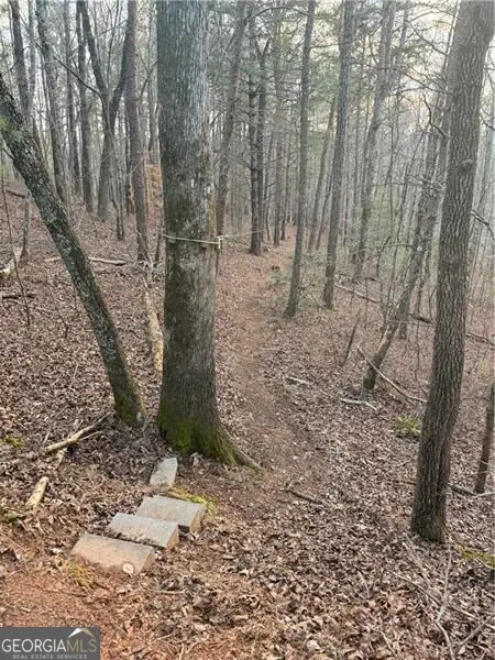 0 Shady Grove Church Road, Talking Rock, GA 30175 - #3