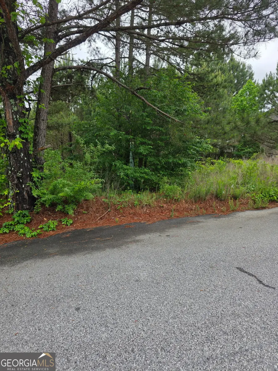 6372 SW Flat Rock Land Sw, Atlanta, GA 30349 - #2