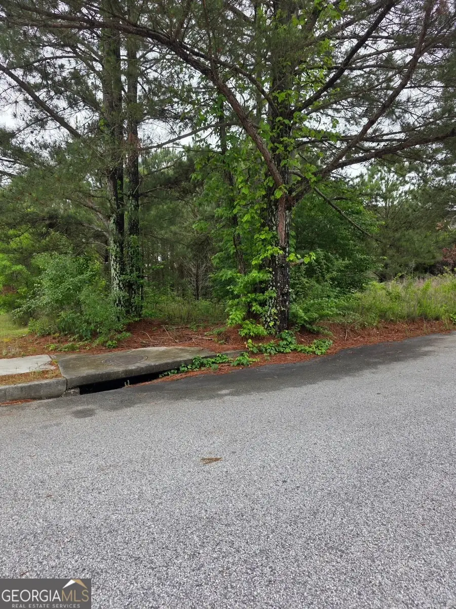 6372 SW Flat Rock Land Sw, Atlanta, GA 30349 - #3