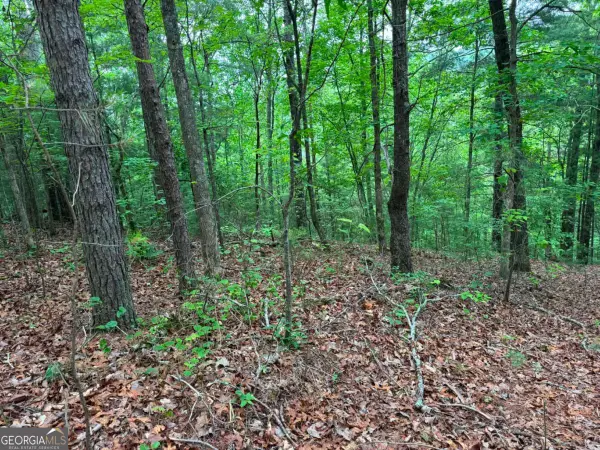 1674A Hunter Drive, Ranger, GA 30734