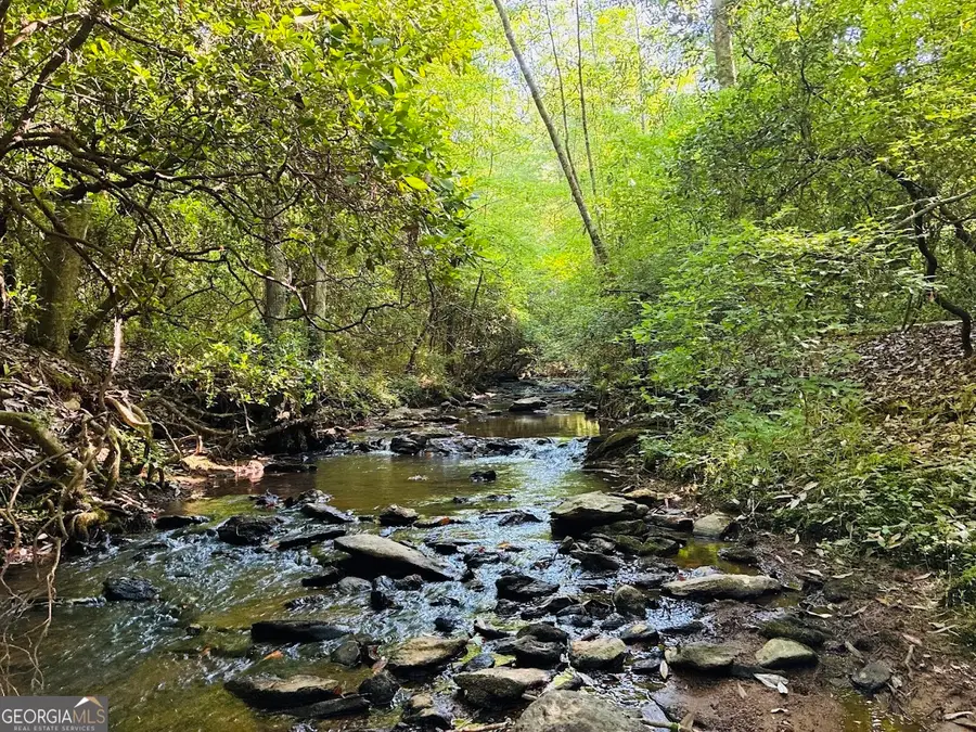 0 Creek Road #LOT 3, Ashland, AL 36251 - #2