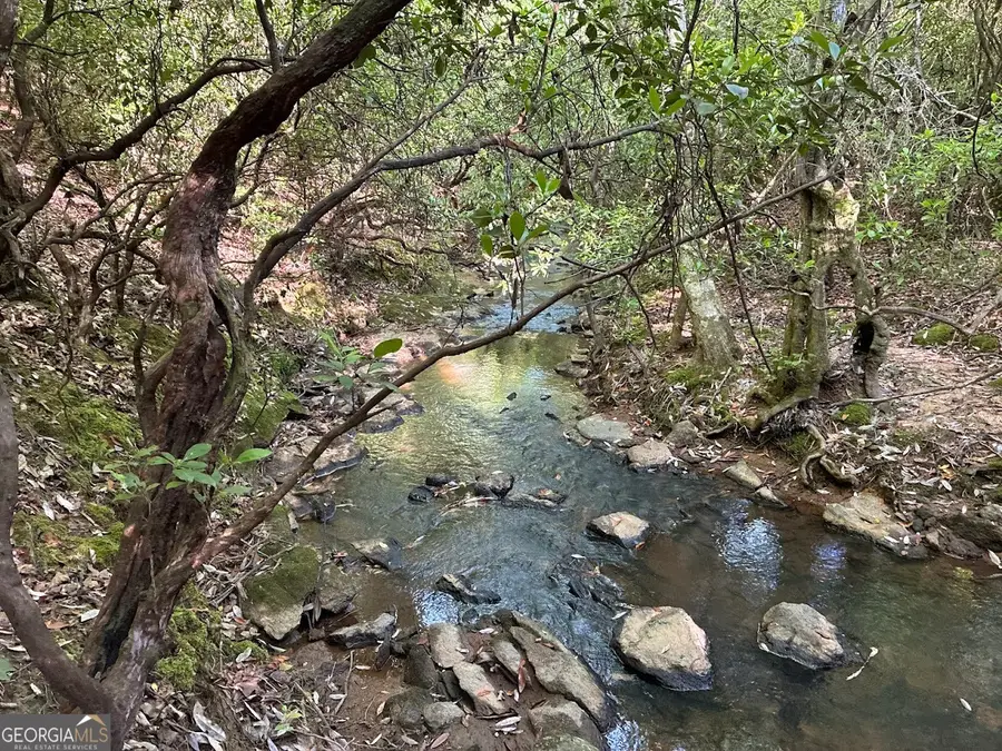 0 Creek Road #LOT 4, Ashland, AL 36251 - #2