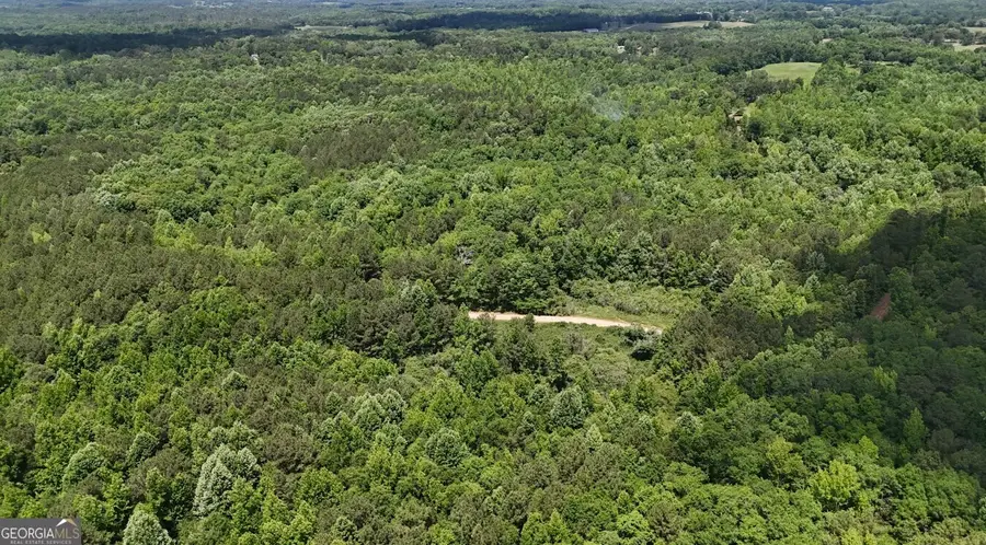 0 Creek Road #LOT 6, Ashland, AL 36251 - #3