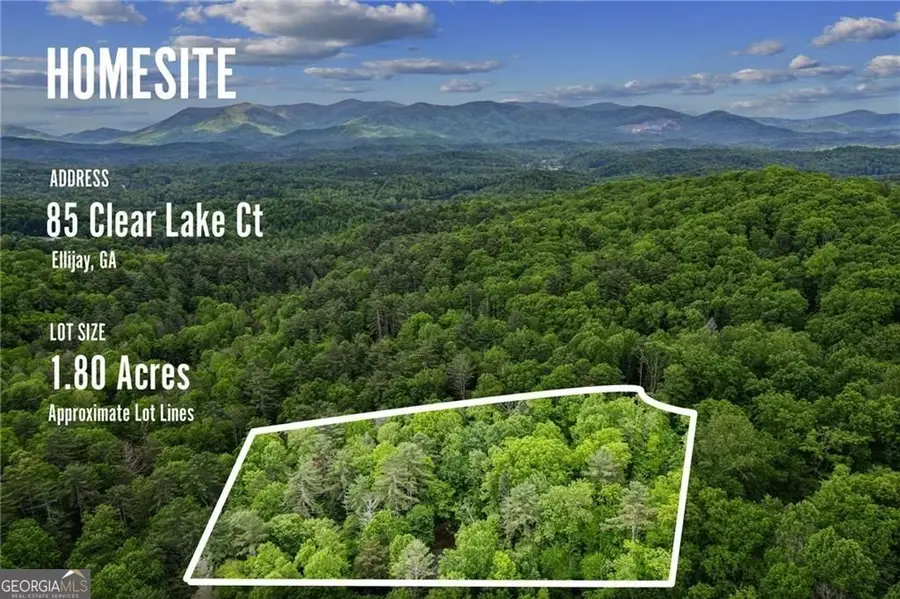 85 Clear Lake Court, Ellijay, GA 30540 - #2