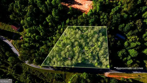 TR 3 W Gum Log Road, Warne, NC 28909