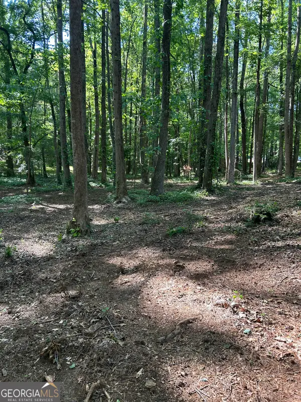 46 Davis, Hiram, GA 30141