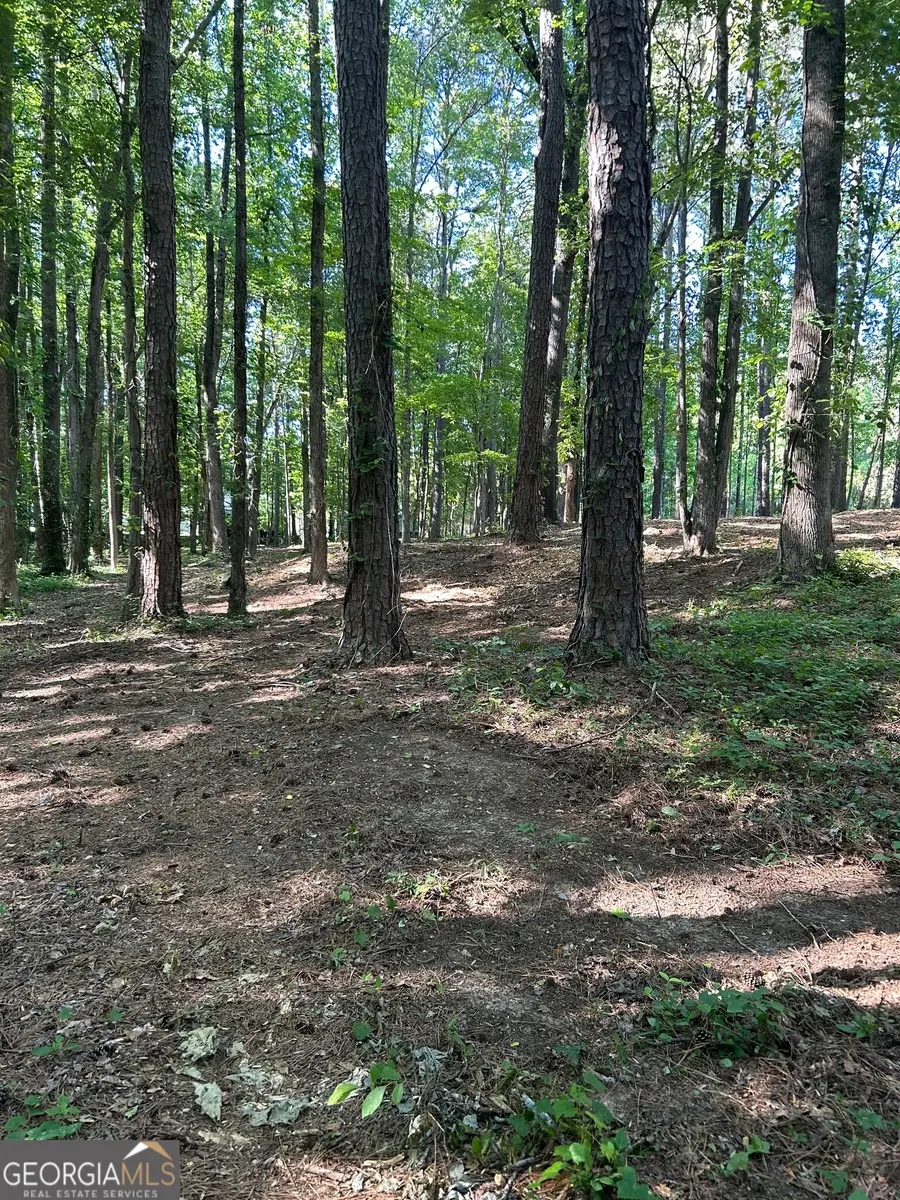 46 Davis Road, Hiram, GA 30141 - #3