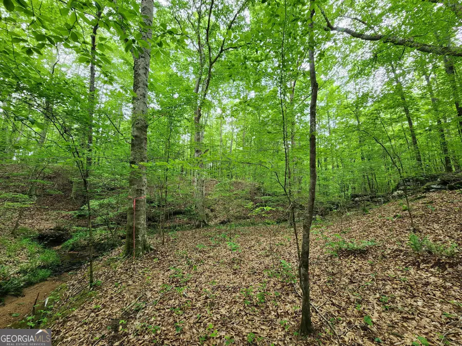 0 Ga 85 Highway, Waverly Hall, GA 31831 - #2