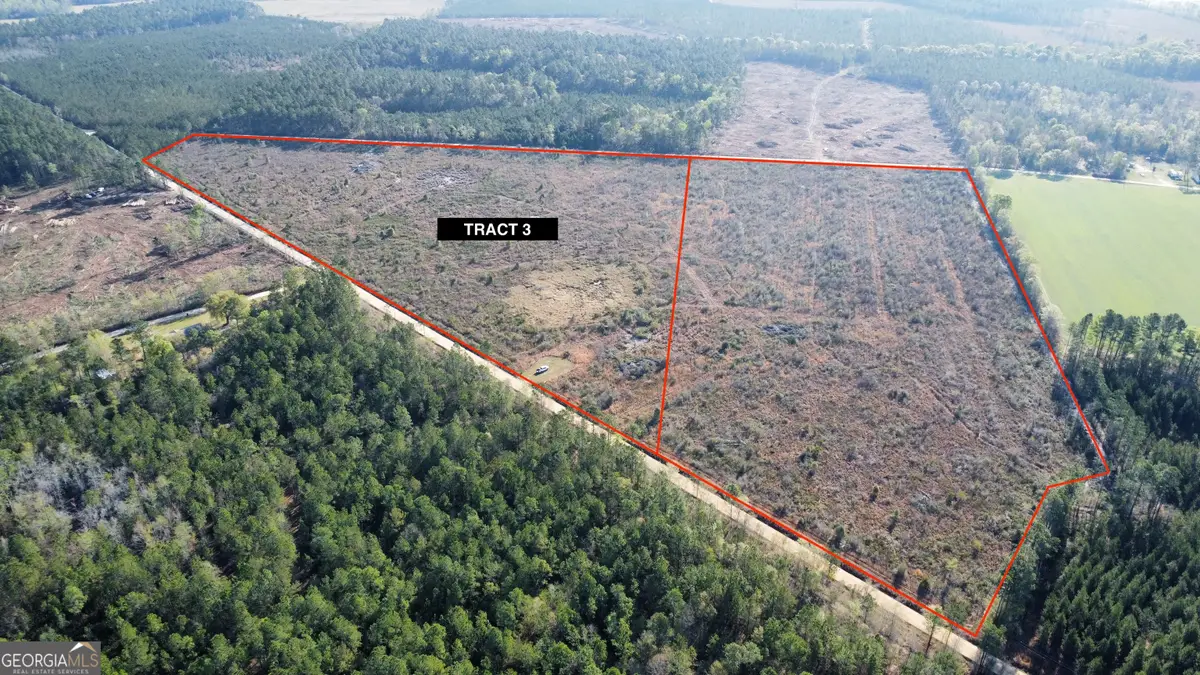 0 Graham Knight Road (tract 3), Glennville, GA 30427 - #1