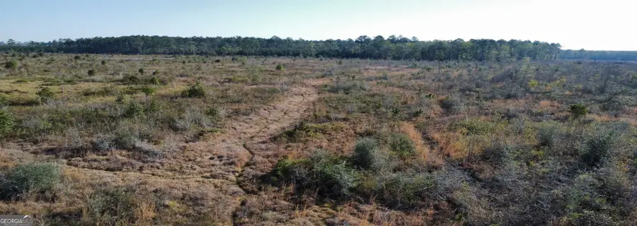 0 Graham Knight Road (tract 3), Glennville, GA 30427 - #3