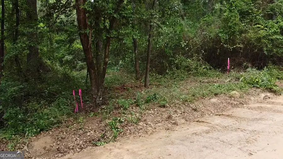 400 Julian Simpson Road, Cochran, GA 31014 - #2