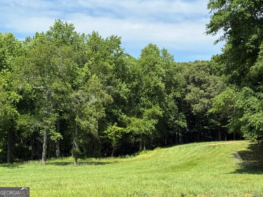 603 Wall Bridge Road, Clarkesville, GA 30523 - #3