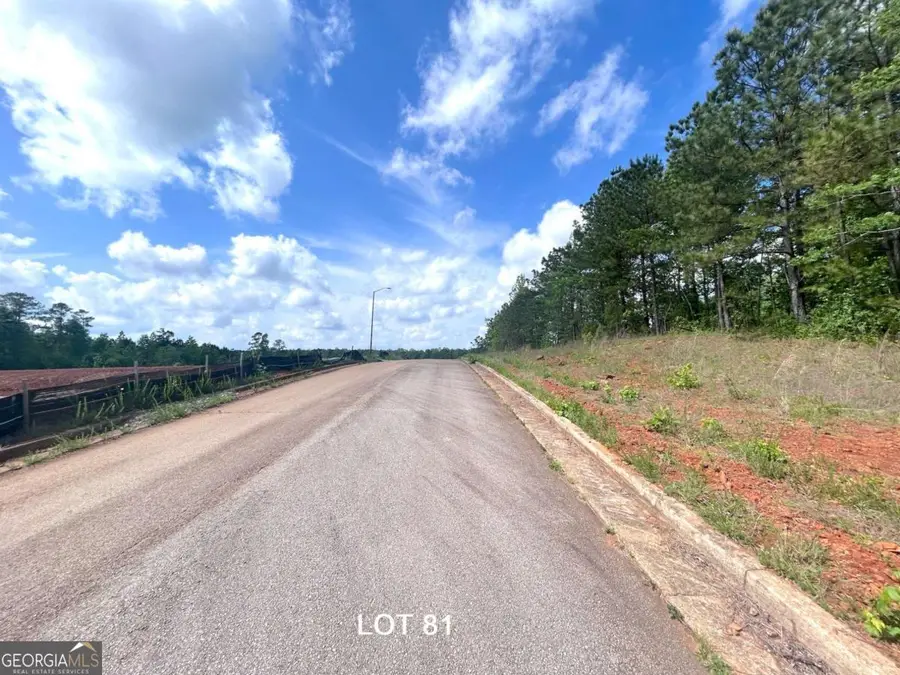 208 Oakdale Way, Temple, GA 30179 - #3