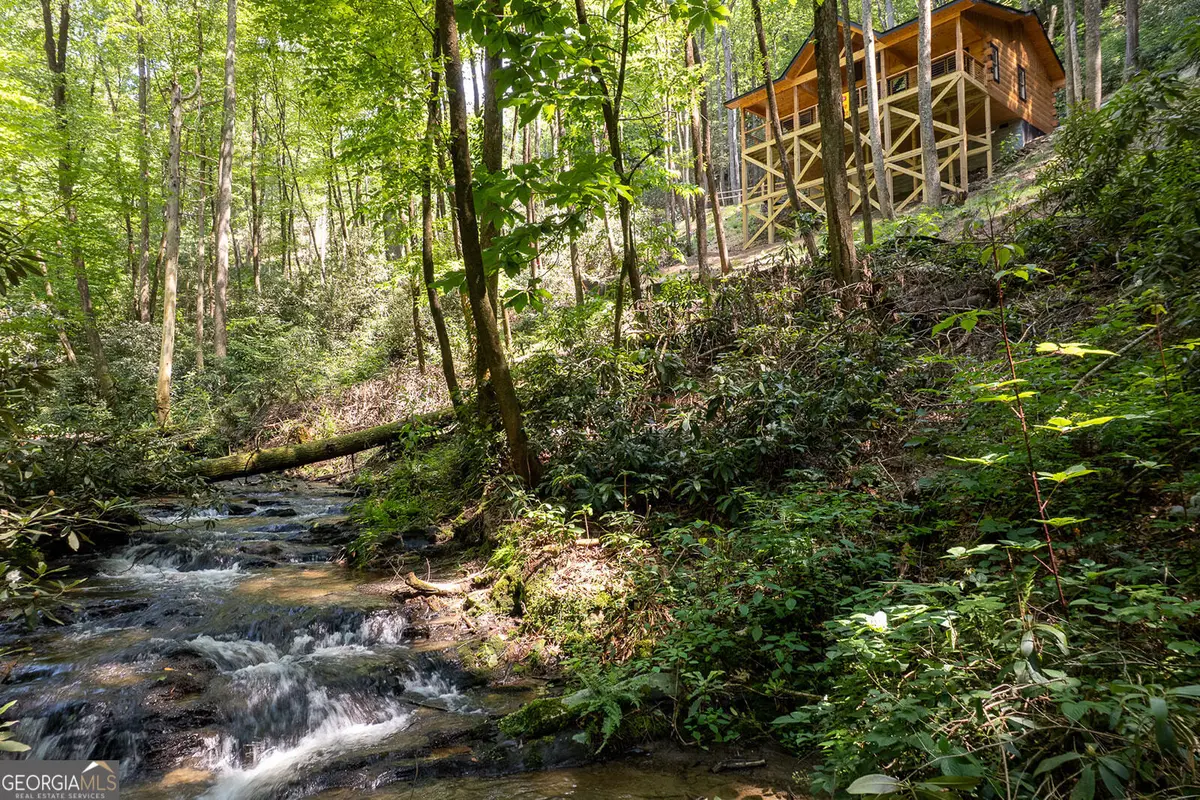 122 Laurel Creek Trail, Blue Ridge, GA 30513 - #1
