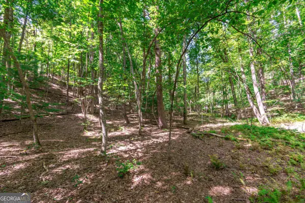 LOT 22 Meadow Brook Trail, Morganton, GA 30560
