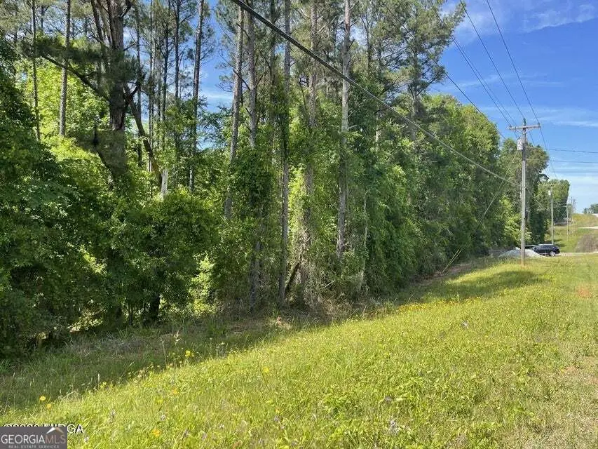 - Gray Road Sw, Eatonton, GA 31024 - #2