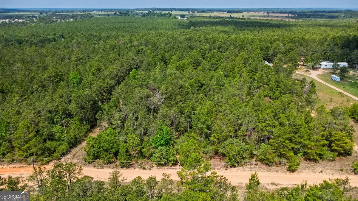 0 Allen Drive, Mauk, GA 31058 - #1