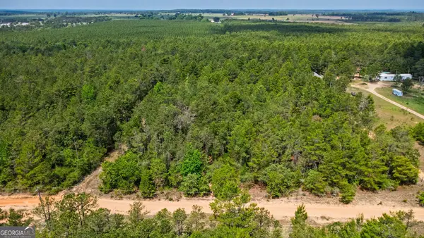 0 Allen Drive, Mauk, GA 31058