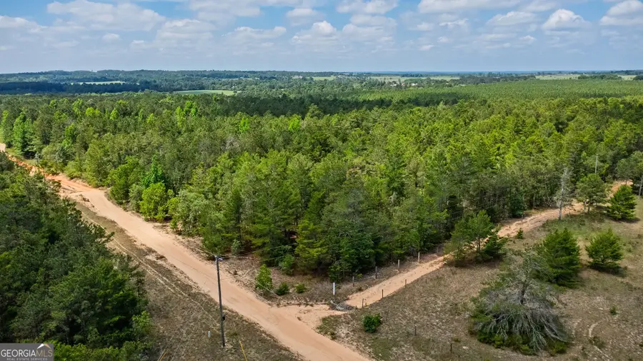0 Allen Drive, Mauk, GA 31058 - #2