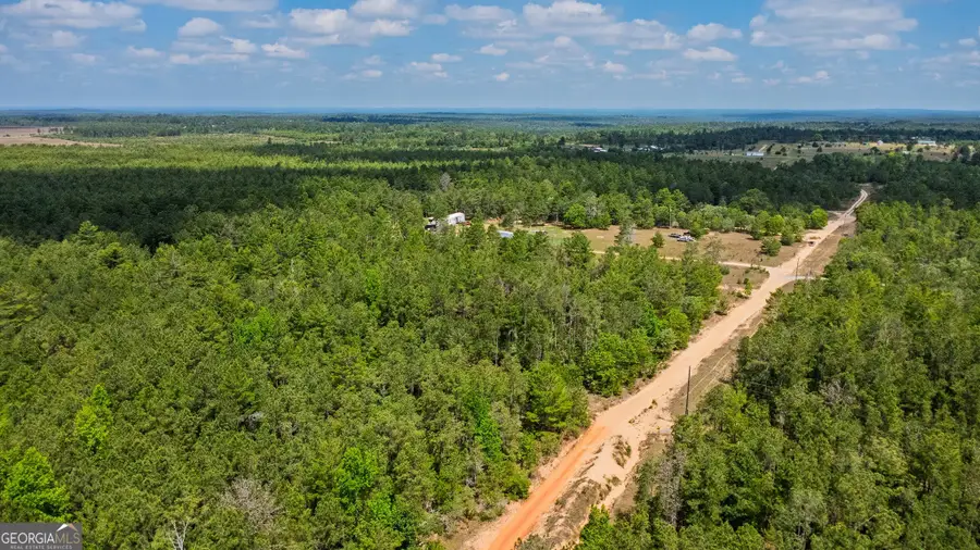 0 Allen Drive, Mauk, GA 31058 - #3