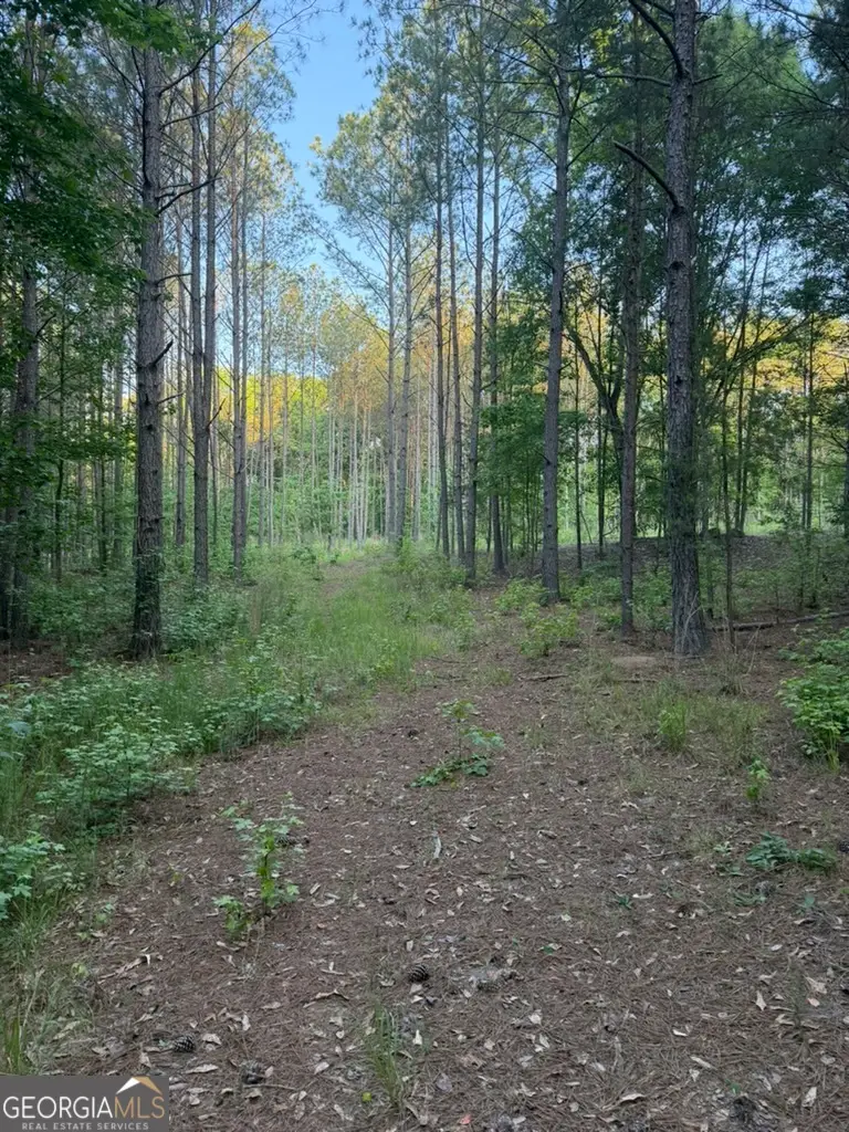 0 Old Rico Rd, Chattahoochee Hills, GA 30268 - #2