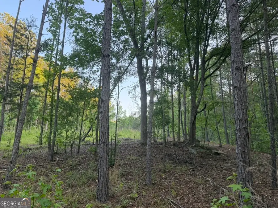 0 Old Rico Rd, Chattahoochee Hills, GA 30268 - #3