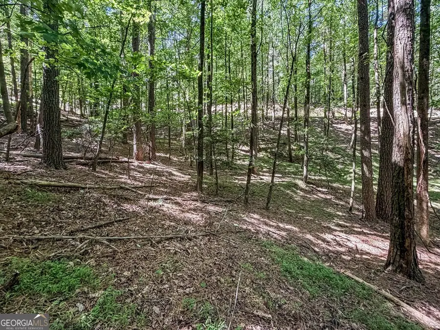 LOT 26 Estates Drive, Ellijay, GA 30540 - #3