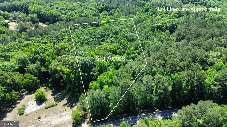 1040 White Oak Lane, Greensboro, GA 30642 - #3