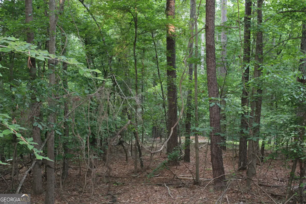1 Mount Moriah Road, Auburn, GA 30011 - #1