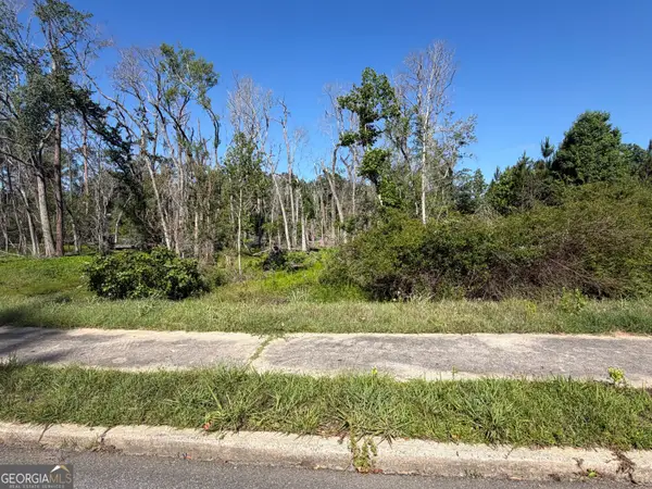 0 N Third North Street, Soperton, GA 30457