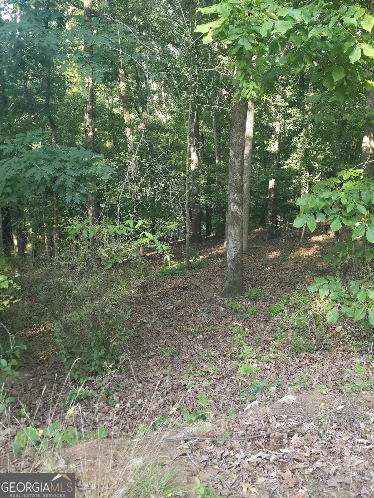 330 Caldwell Circle, Athens, GA 30606 - #1