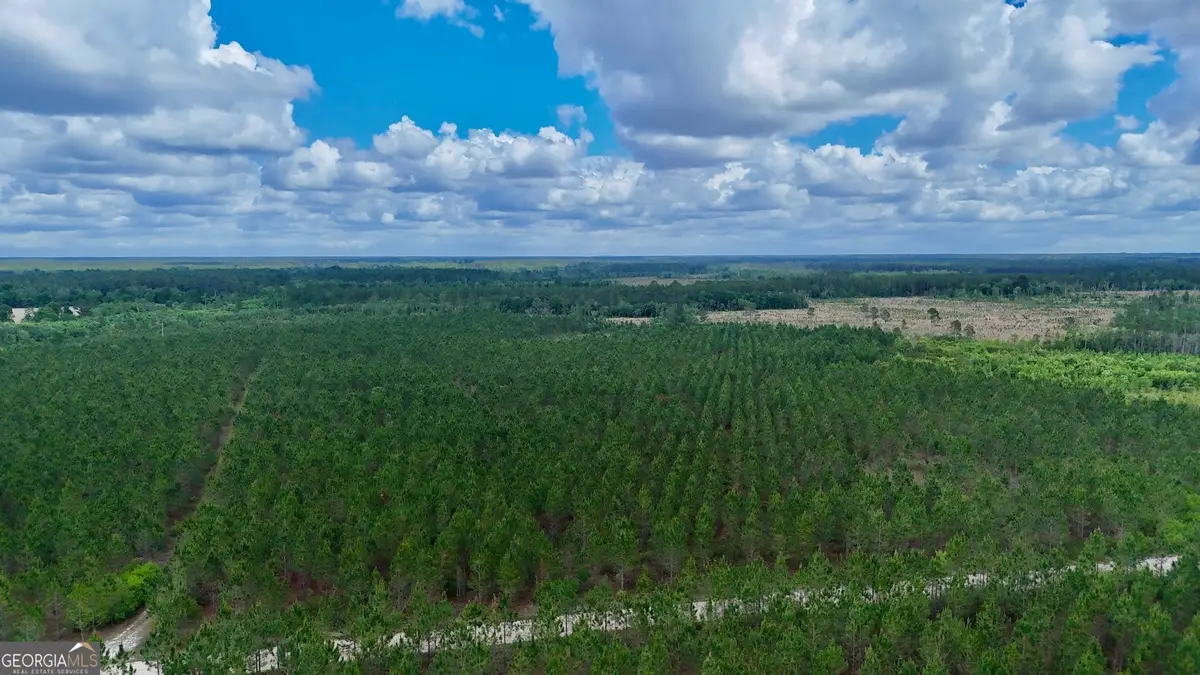 20 AC Owens Road, Odum, GA 31555 - #1