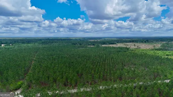 20 AC Owens Road, Odum, GA 31555