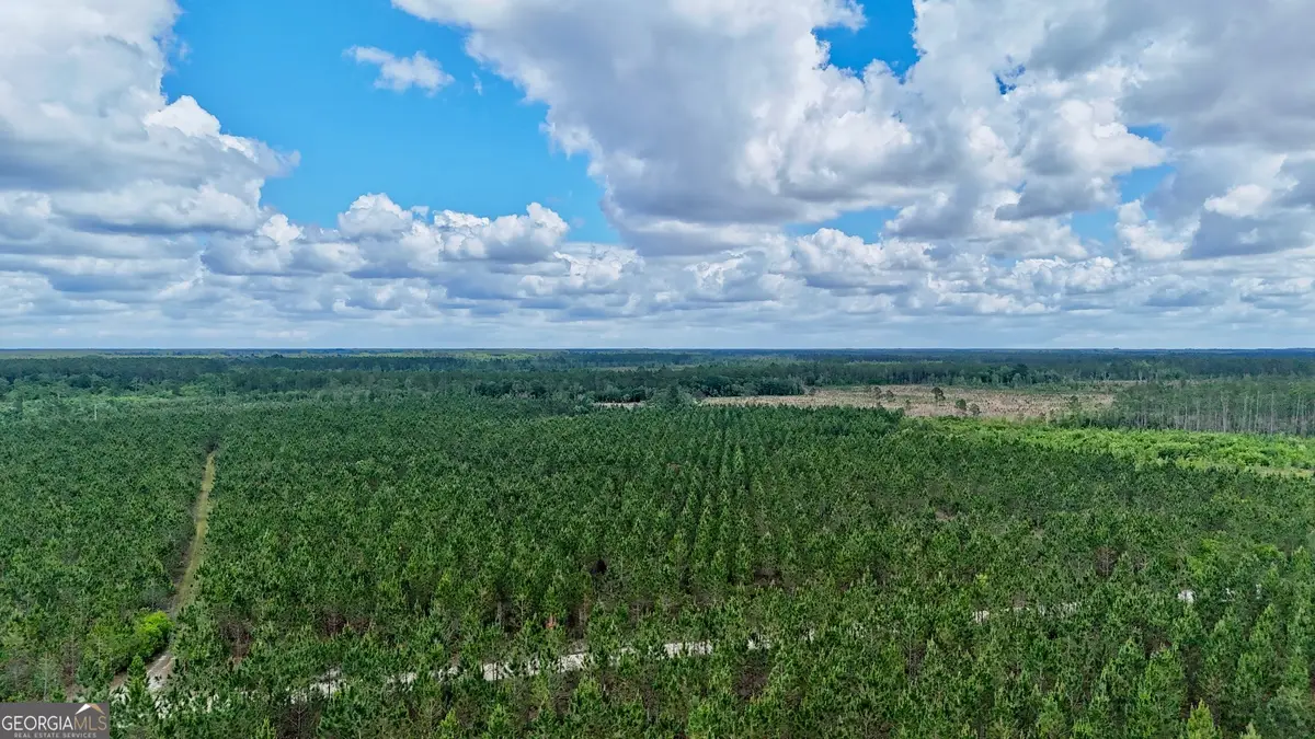 26 AC Owens Road, Odum, GA 31555 - #1
