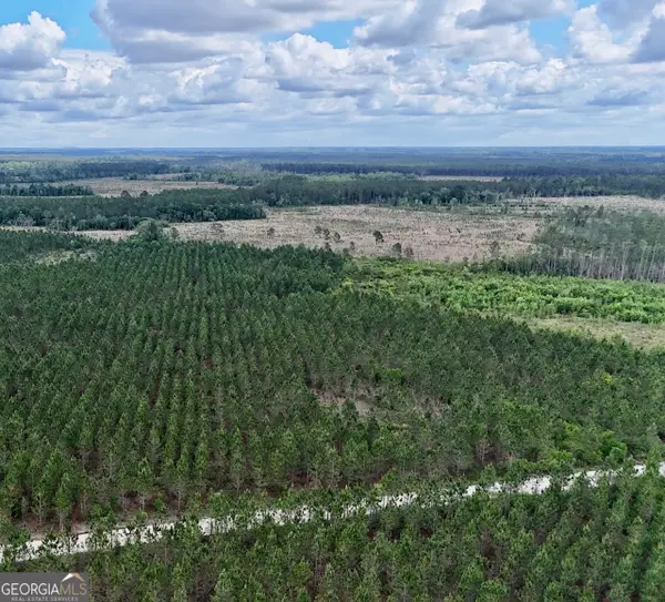 17 AC Owens Road, Odum, GA 31555