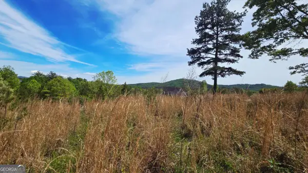 LOT 48 Water Oak Lane, Blairsville, GA 30512