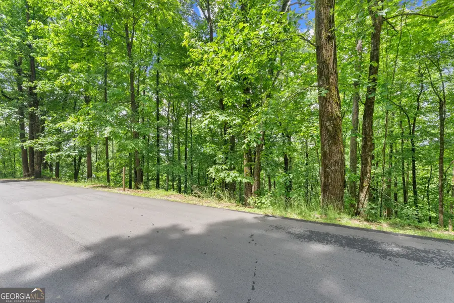 LT 30 Mountainside Drive, Cleveland, GA 30528 - #3
