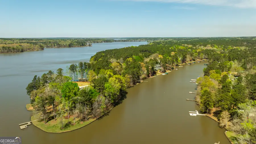 1810 Parks Mill Drive, Greensboro, GA 30642 - #3