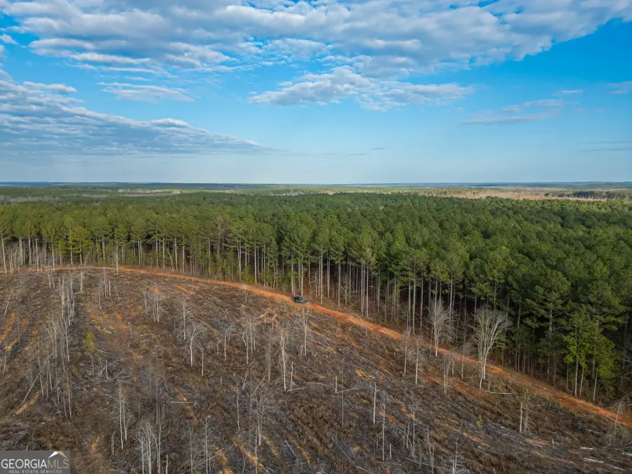 2 Smith Rocky Branch Road, Carlton, GA 30627 - #3